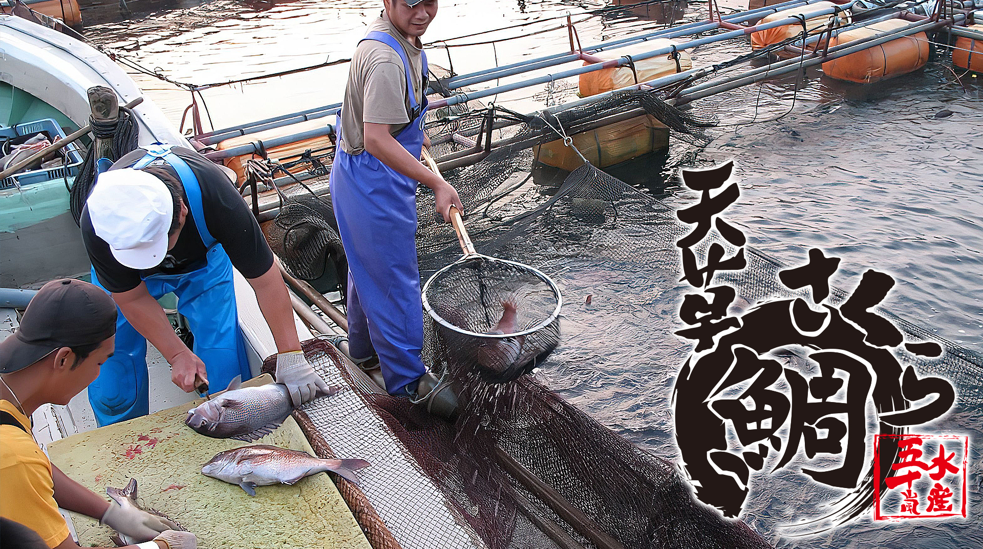 五十嵐水産の天草さくら鯛呈味